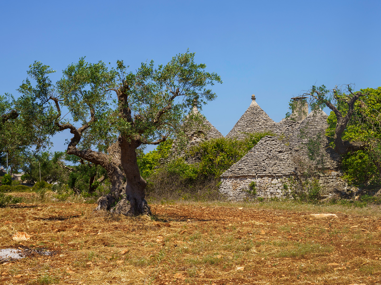 trullo